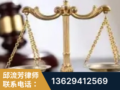 大安-委托诉讼代理人出庭